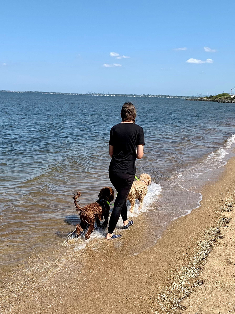 beach walk with dog