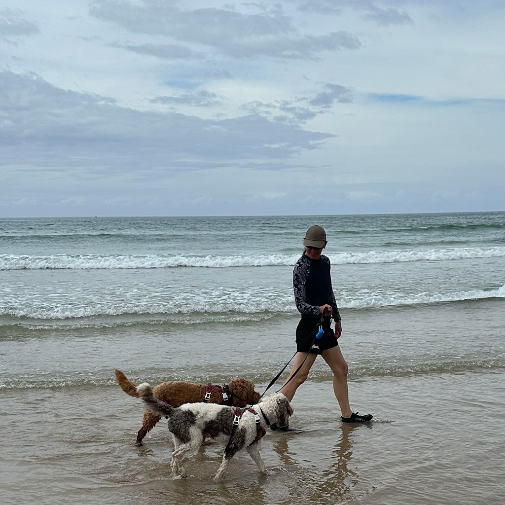 me dogs beach