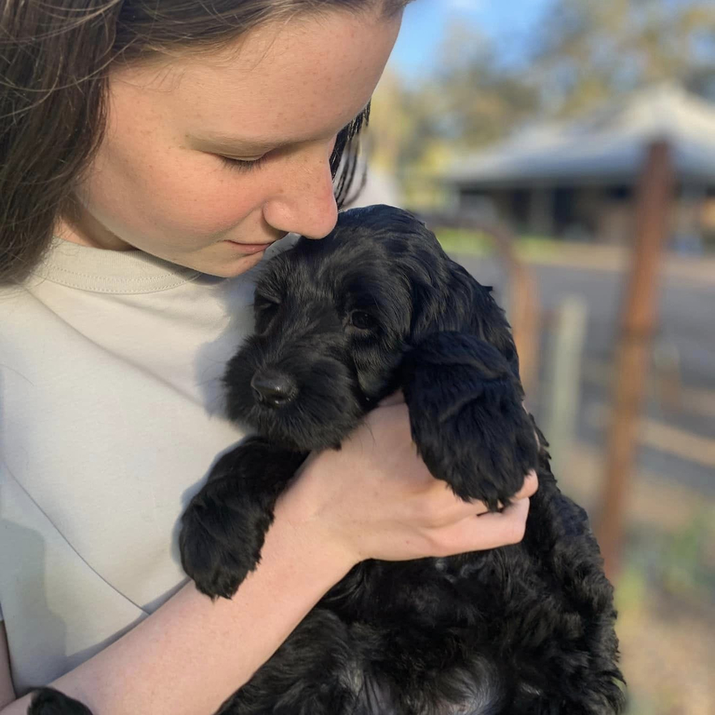 Matilda with a beautiful raven cobberdog puppy