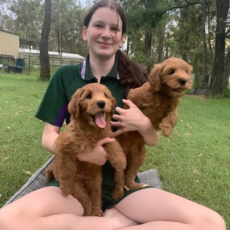 tilly holding two pups