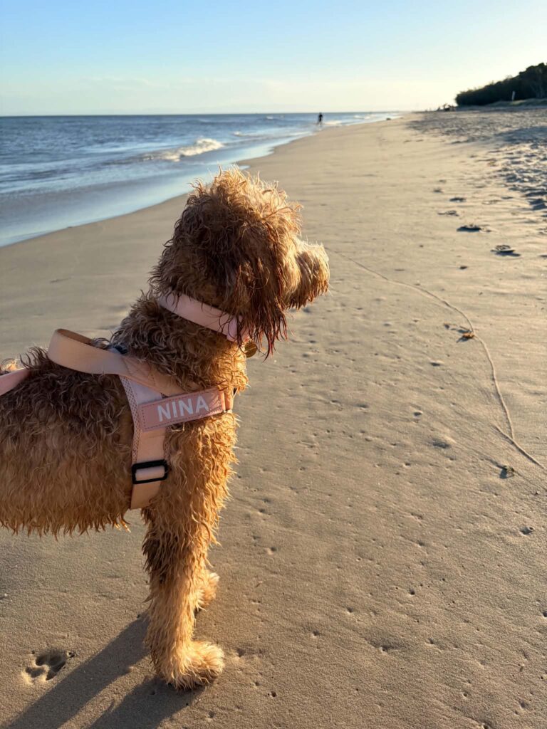 coco